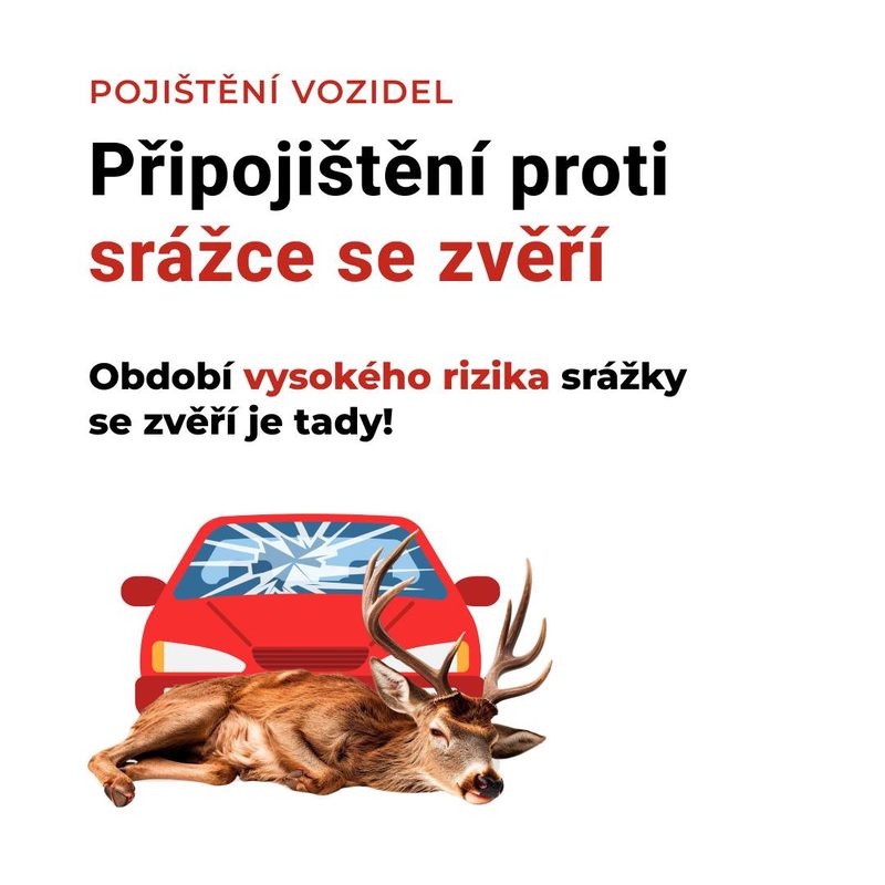 Auto po srážce s jelenem – připojištění střetu se zvěří